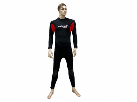Amscud_Dolphin1 Amscud_Dolphin1