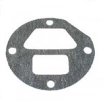 Gasket_Coltri_13010005