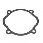 Gasket_N061183