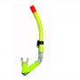 Dolphin_Neon_yellow